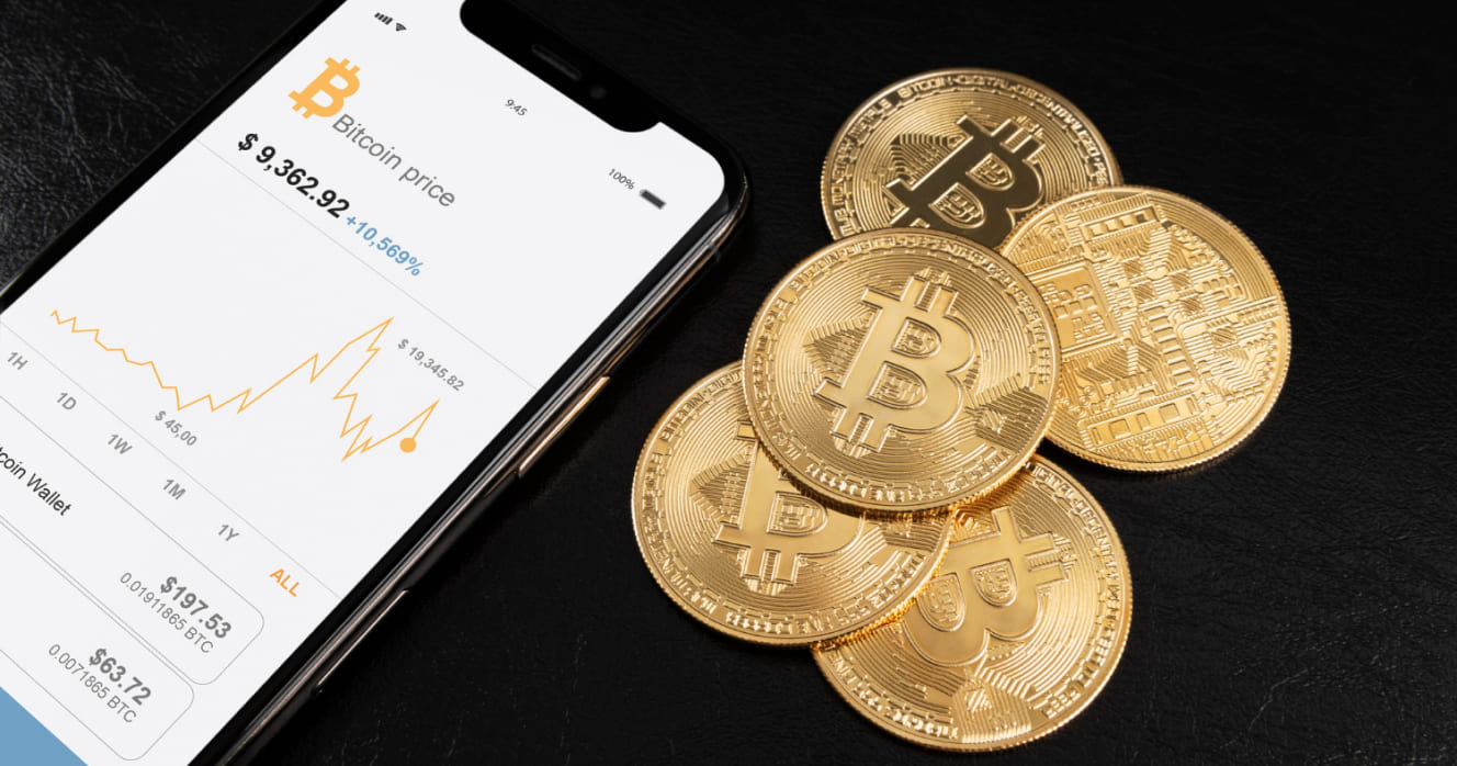 Multi-Währungs-Wallet-Entwicklung