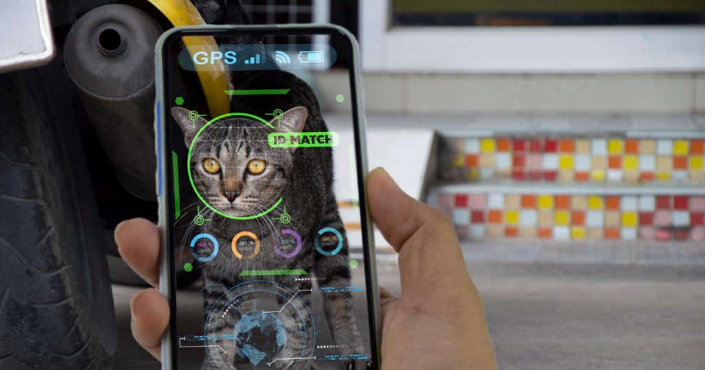 Mobile Fotografie und Videografie